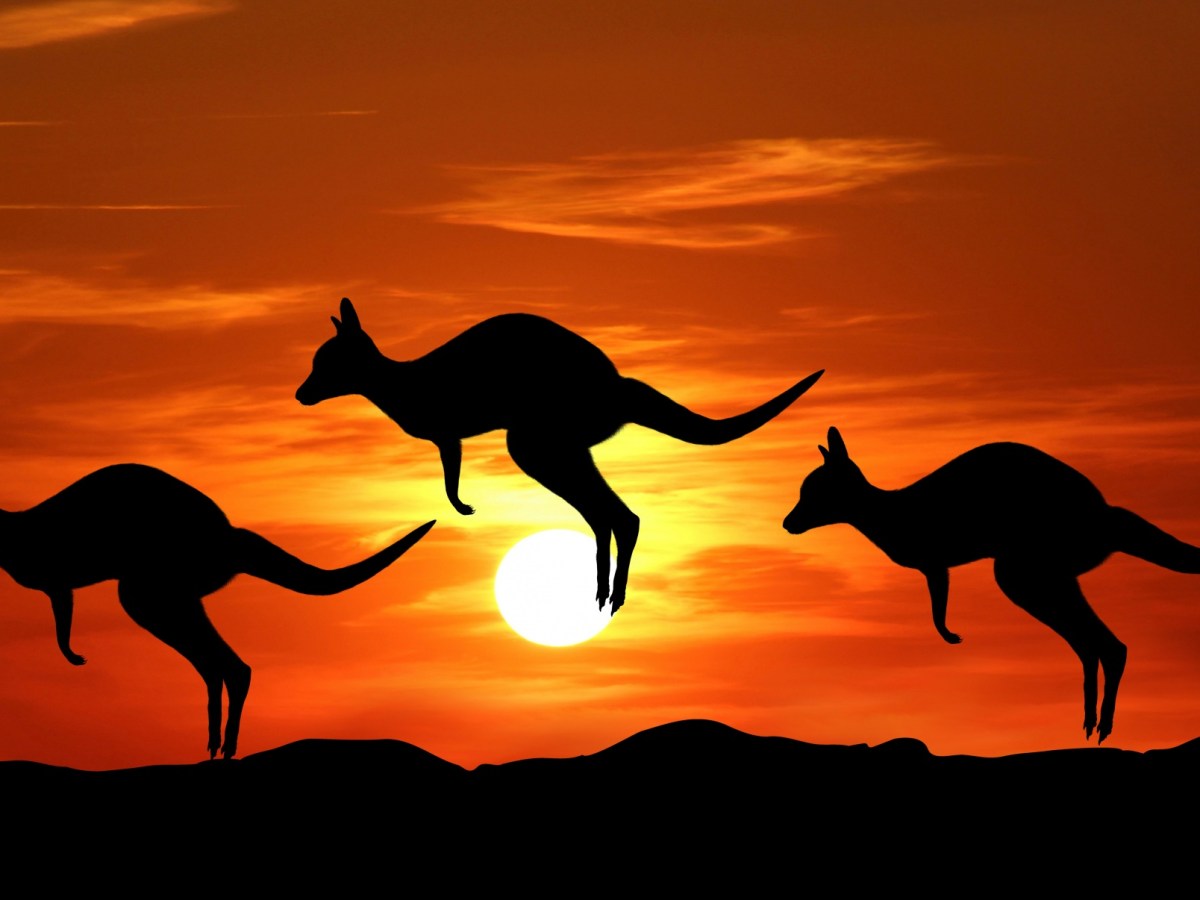 Ch13 Epilogue and&nbsp;poetry.